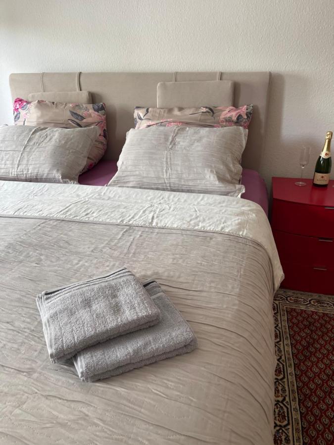 Vip Avec Parking Et Internet * Trier